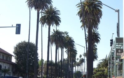 Los Angeles: Den Ultimative Guide til Englenes By