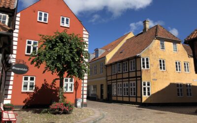 Guide til Ribe og Vadehavet: Historiske Seværdigheder, Farverige Gader og Interessant Natur